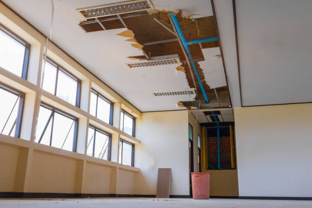 Best Carpet water damage restoration  in Weeping Water, NE