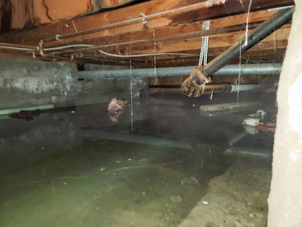 Best Residential water damage restoration  in Weeping Water, NE