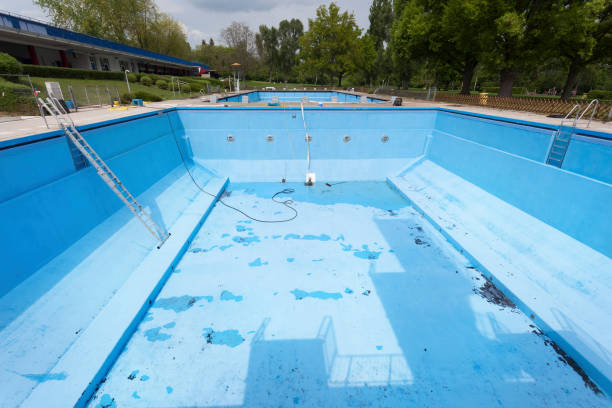 Best Flood damage cleanup  in Weeping Water, NE