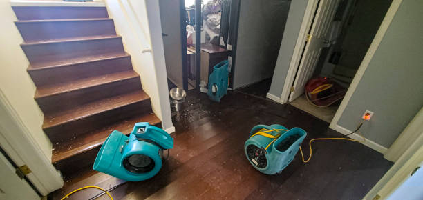 Best Flood damage cleanup  in Weeping Water, NE