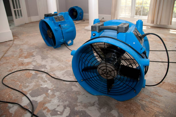 Best Commercial water damage restoration  in Weeping Water, NE