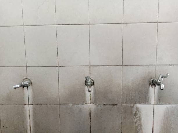 Best 24-hour water damage restoration  in Weeping Water, NE
