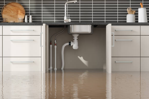 Best Carpet water damage restoration  in Weeping Water, NE